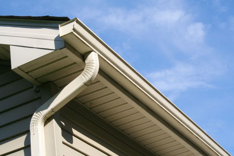 Porch Ceiling Replacement in Olathe, KS